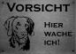 Preview: Edelstahl Warnschild Weimaraner VORSICHT Hier wache ich!